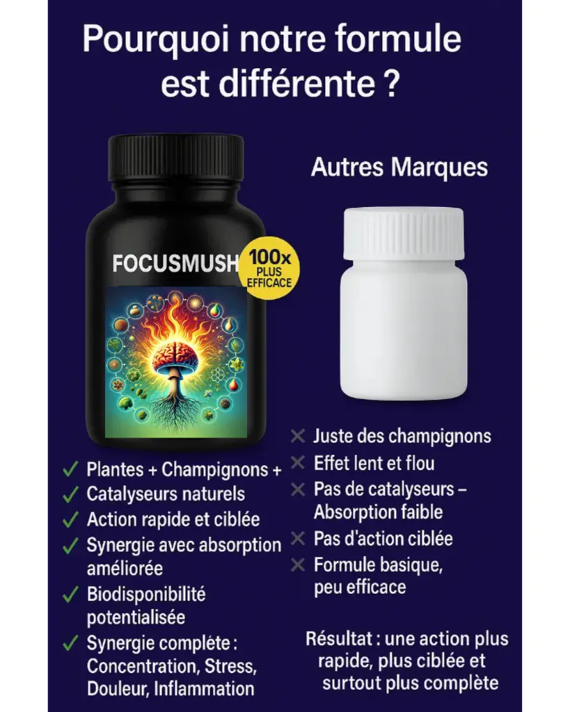 focusmush-comparaison-avec-autres-formules.webp