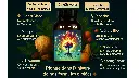 ☕ Café, formules uniques & packs bien-être à base de champignons adaptogènes et plantes fonctionnelles. Des solutions naturelles pour booster ton énergie, améliorer ton focus et retrouver ton équi (7).webp