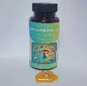 COMFORTMUSH - antidouleur naturel & récupération complète 🦴